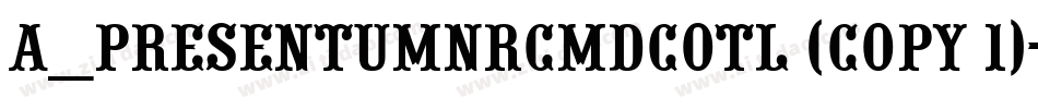 a_PresentumNrCmDcOtl (COPY 1)字体转换